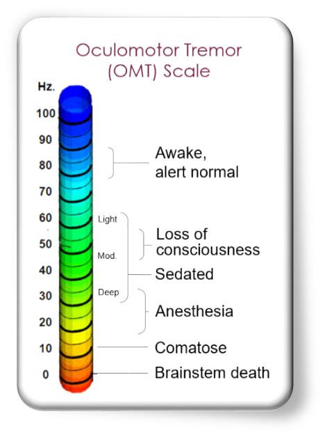 OMT Scale